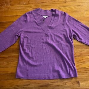 NWT J. Jill V-Neck Sweater size XLT